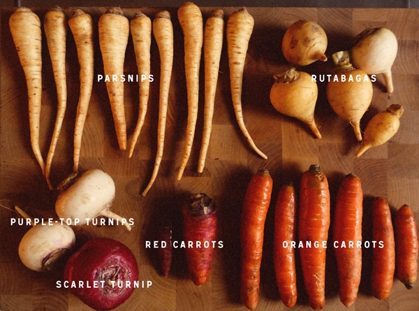identify root vegetables