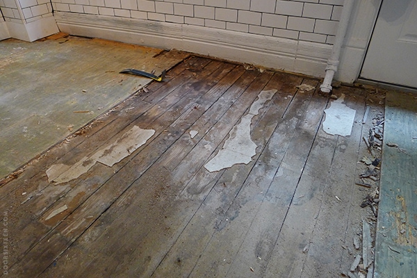 doorsixteen_floordemo_progress