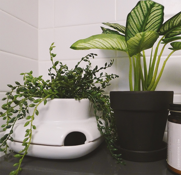 doorsixteen_aptbathroom_fakeplants_01