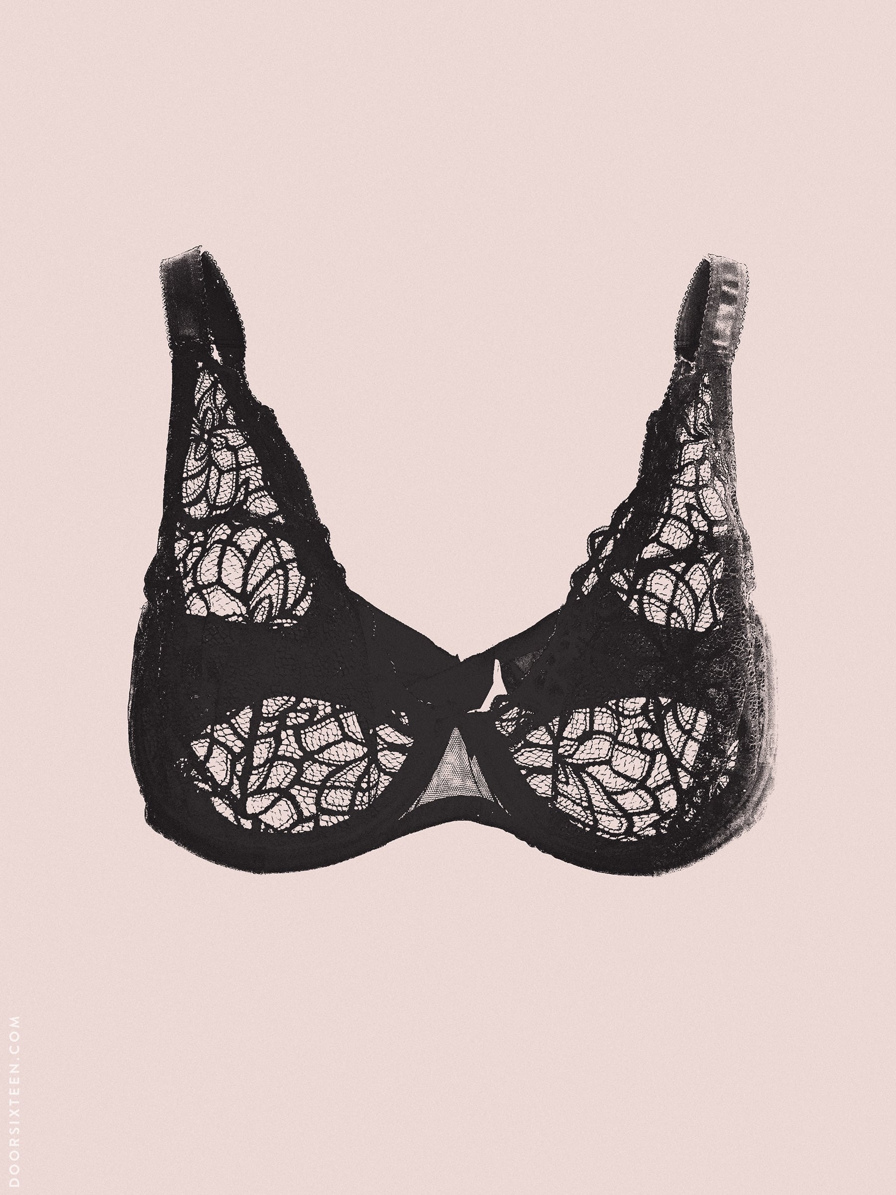 Soma Intimates - Same amazing bra, gorgeous lace. Try the new